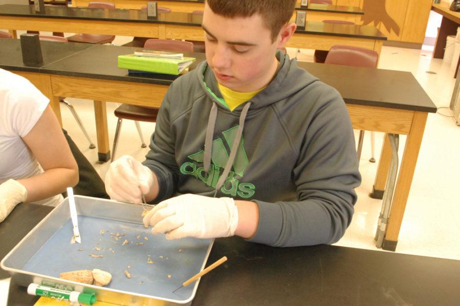A Day at PHS: Dissection in Science Class