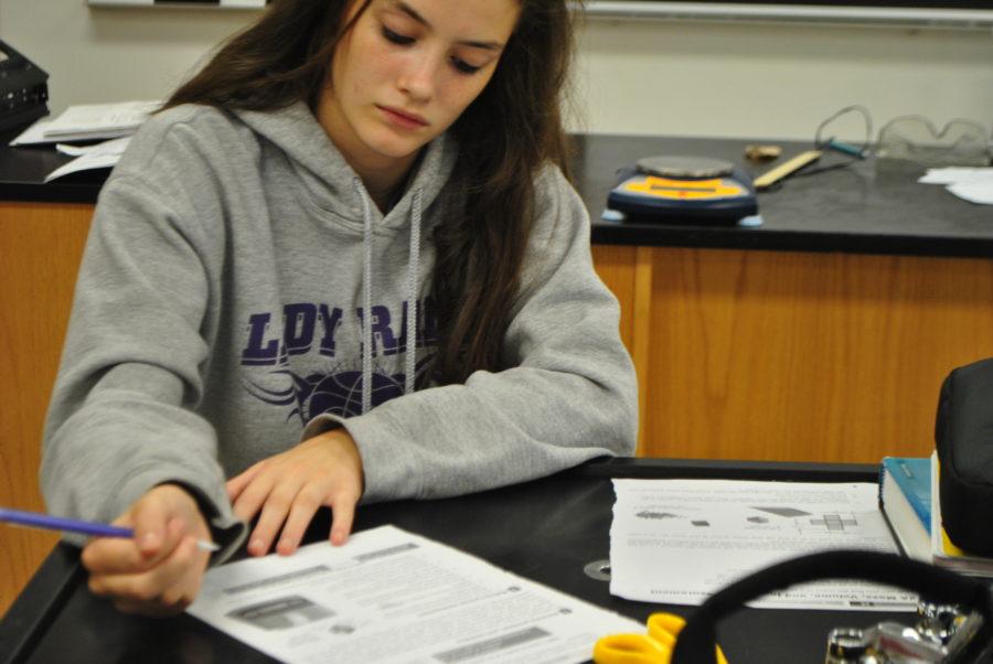 Sophomore Liz Radcliff writes down the procedure to her lab.