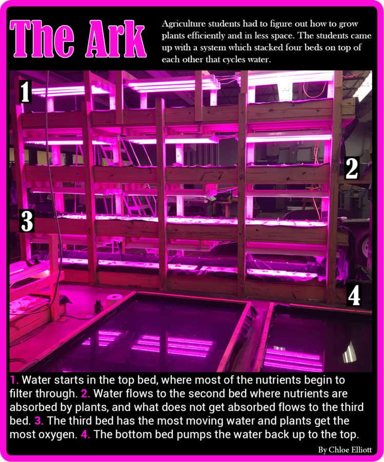 The Ark: Innovative Agriculture