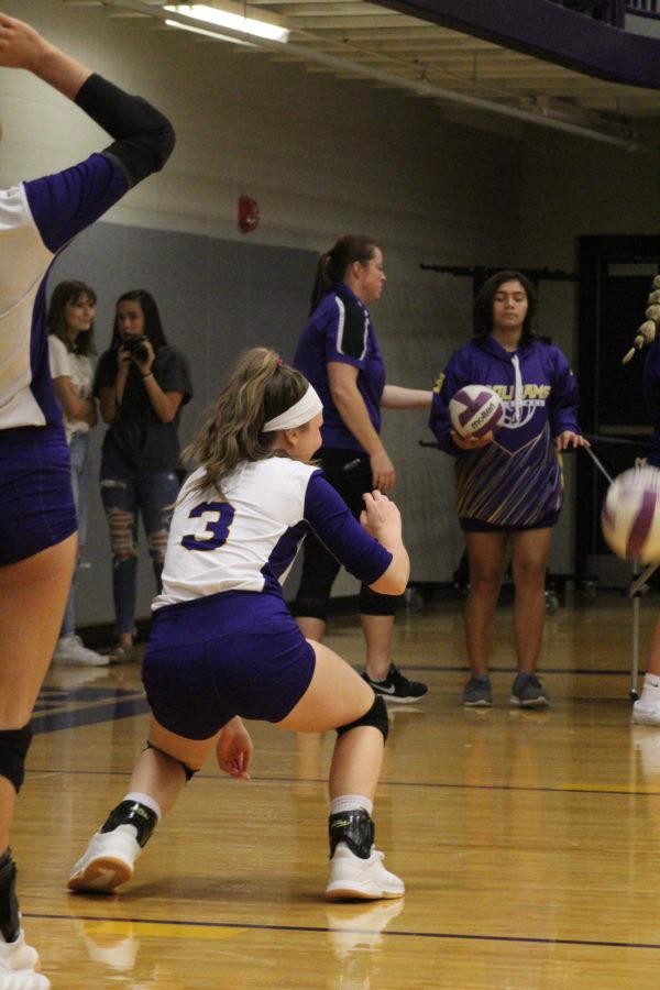 Volleyball Team in Action