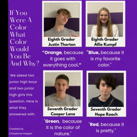 If You Were A Color, What Color Would You Be And Why?