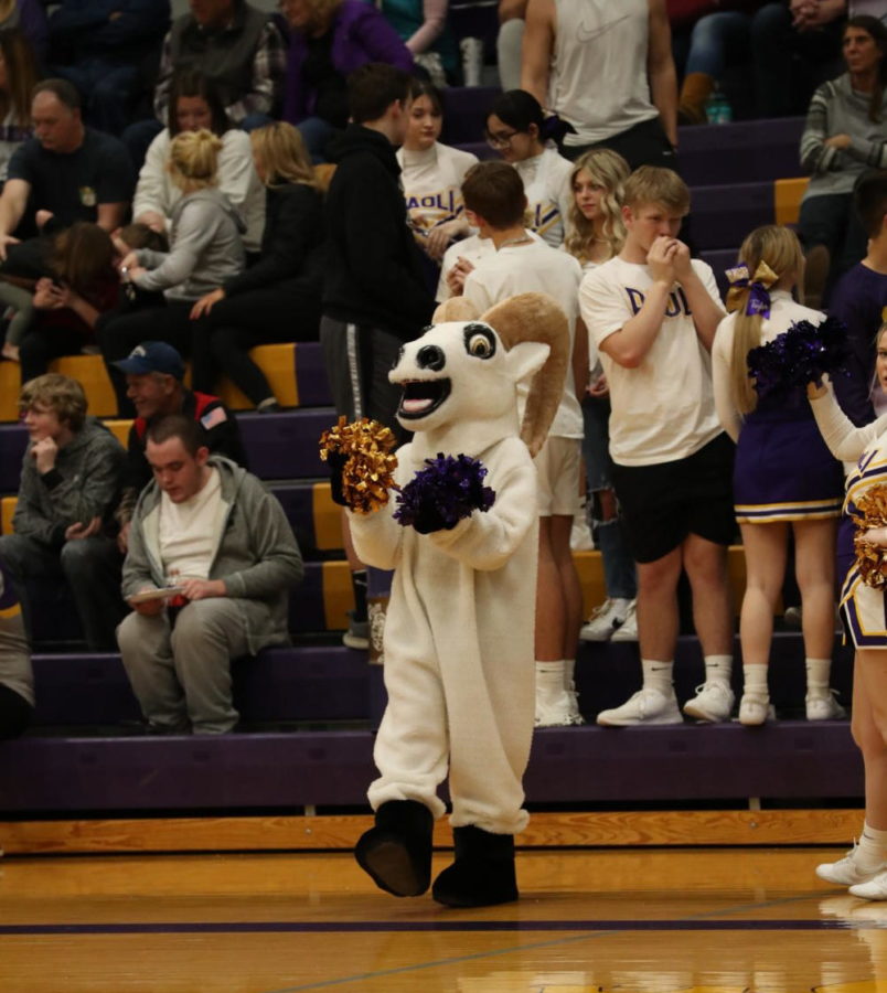 Rocky cheers at a girls’ basketball game with some pom-poms.