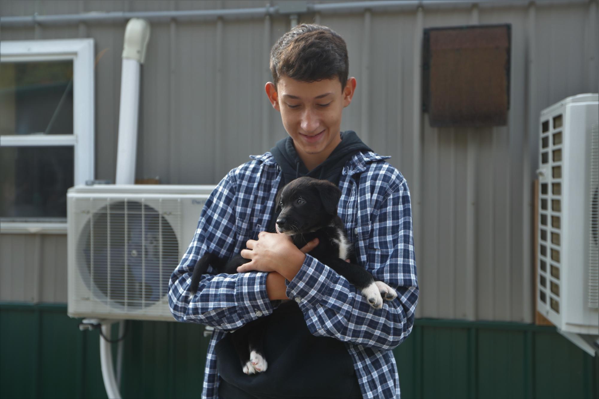 Junior Brian Fullington helping the animals at the shelter
