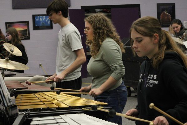 Some of the percussion players practicing.