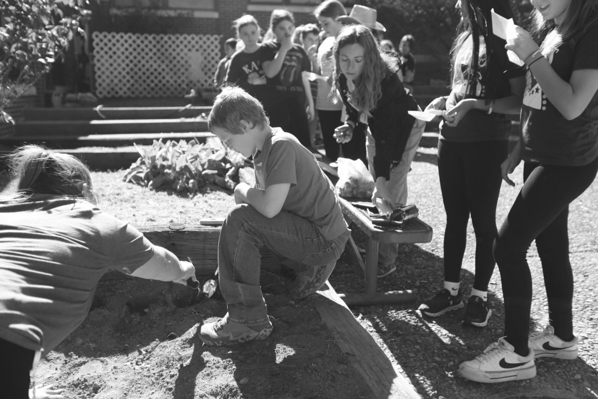 Sixth grader Easton Arsenault works in the garden for Red Ribbon Week in the Throop courtyard