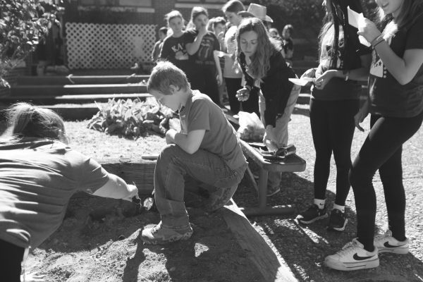 Sixth grader Easton Arsenault works in the garden for Red Ribbon Week in the Throop courtyard