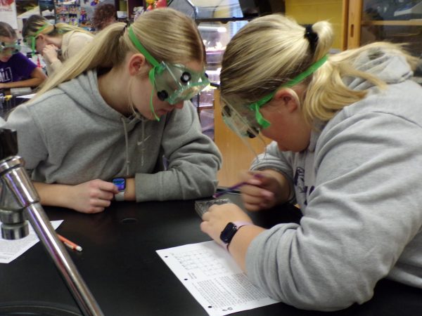 Junior Libby Newkirk and Sophomore Allie Kumpf examines the different chemical reactions.