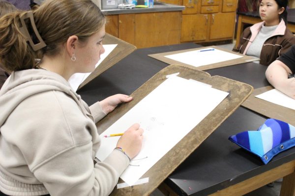 Freshmen Vanessa Thacker draws her model Ellee Hudson.