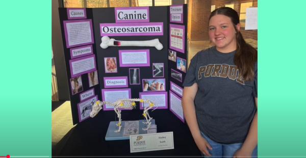 Senior Keeley Scott poses in front of a display related to the veterinary sciences. 