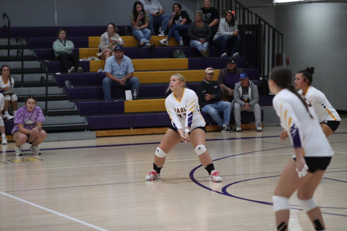 Senior Tariana Burkhead gets ready to hit the volleyball.
