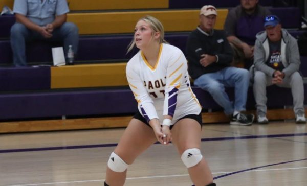 Senior Tariana Burkhead gets ready to hit the volleyball.