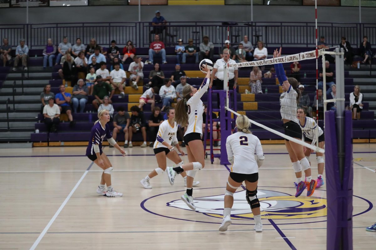 Junior Chelsea Neukam jumps to hit the volleyball back to the opponents. 