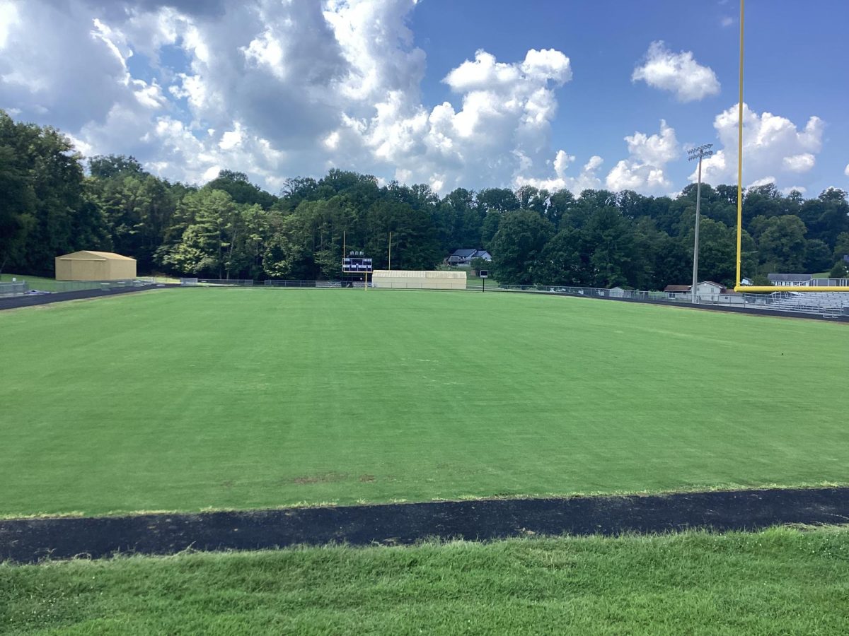 A view of the football field after the new grass grew in. 