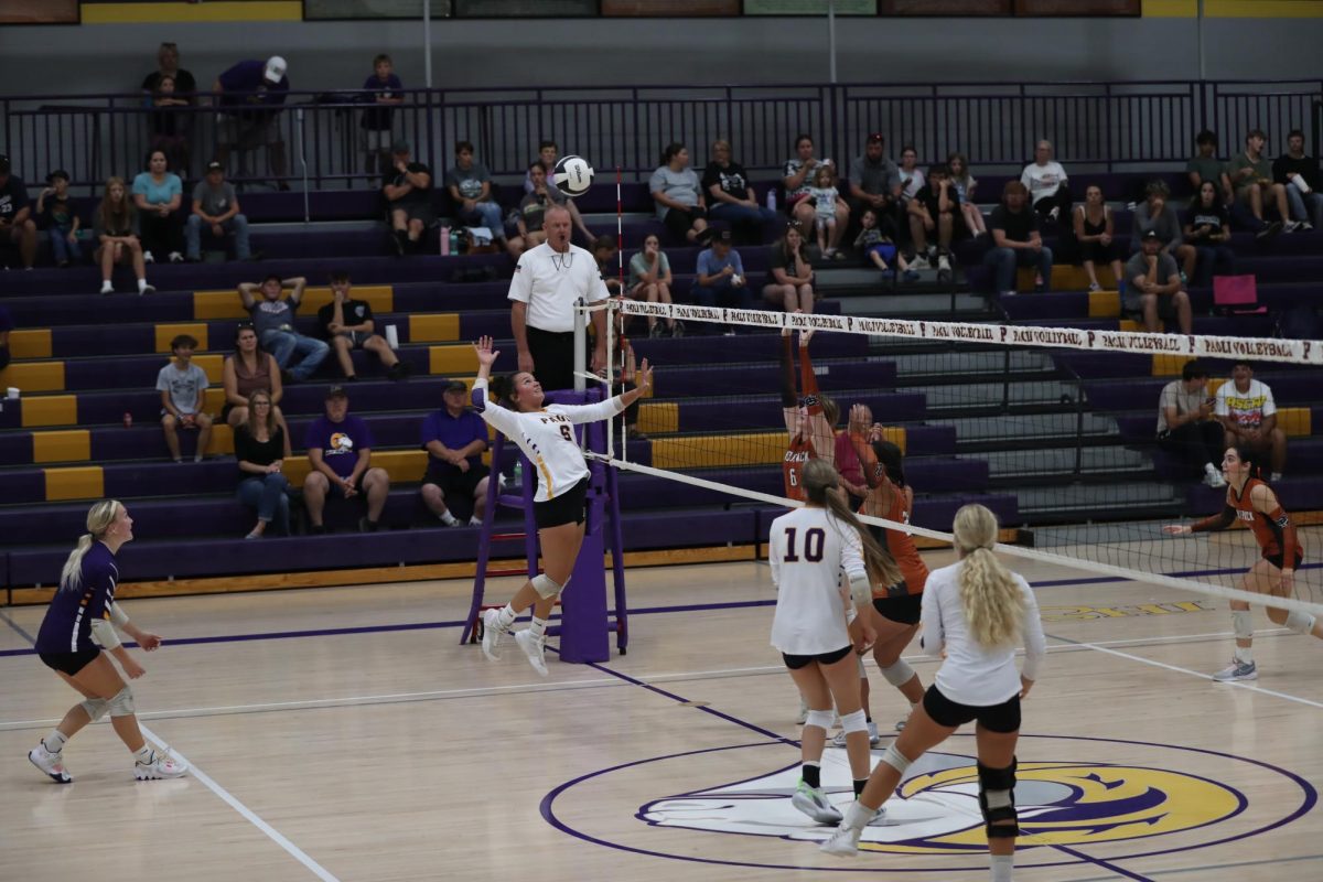 Sophomore Kalyn Hannon hits the ball over the net. 