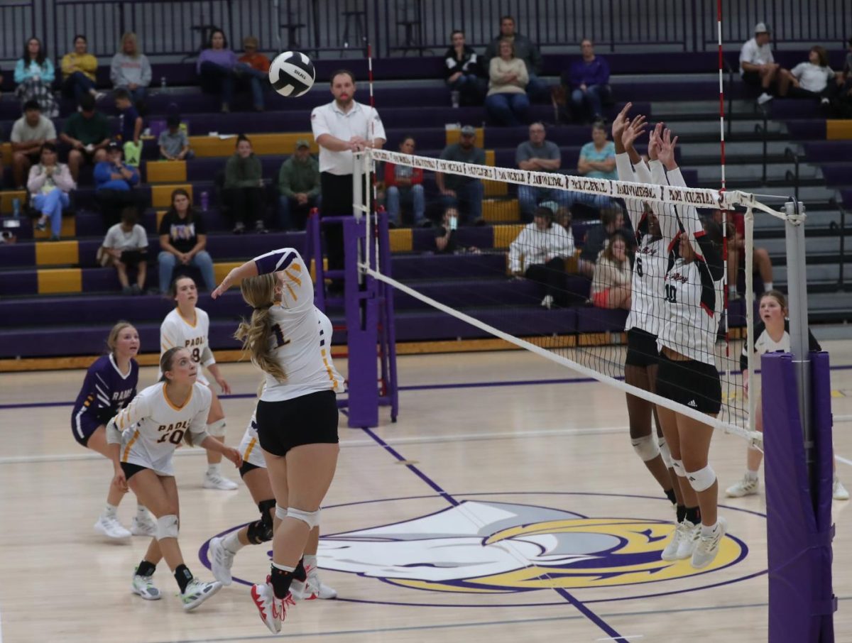 Senior Tariana Burkhead hits the ball over the net.