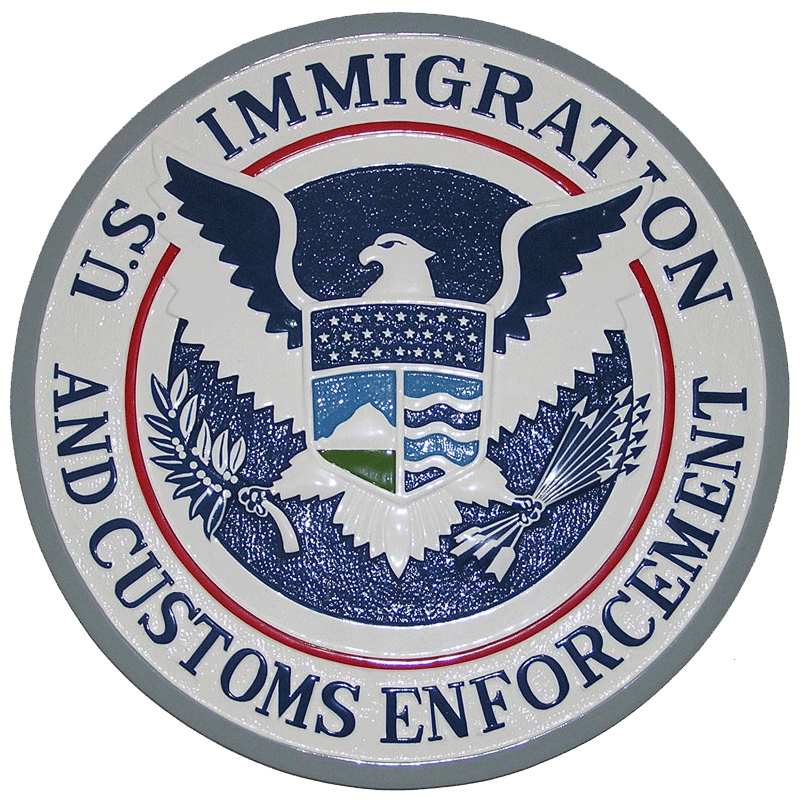 Understanding ICE